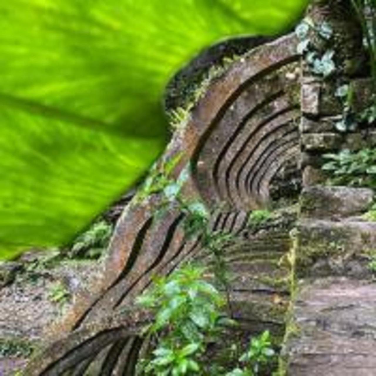 Grann Posada Xilitla Exterior foto